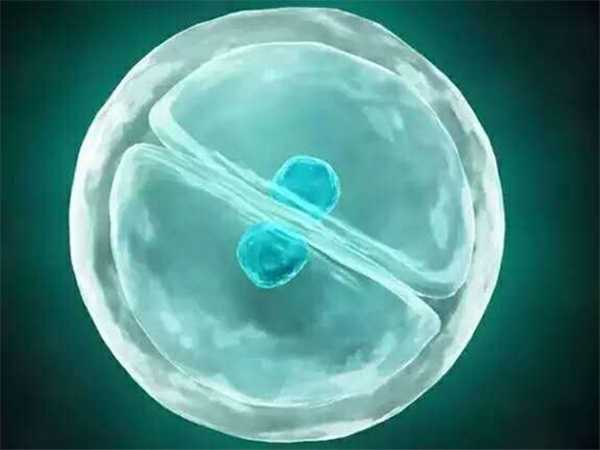 都说6bb和4bb的囊胚质量有区别，移植哪个更好？